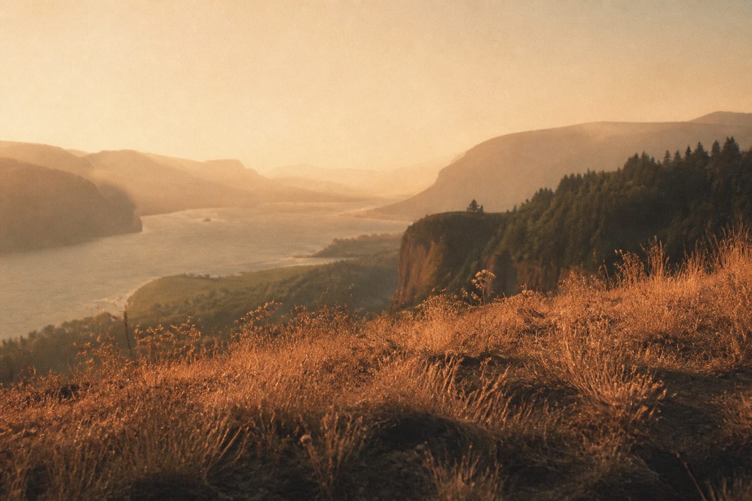 Columbia River Gorge at golden hour